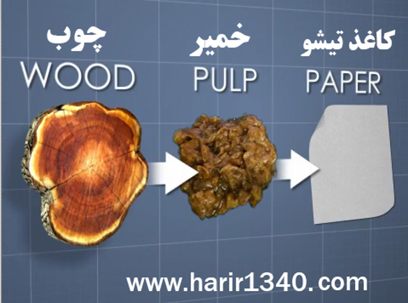 بررسی راهکارهایی برای خرید دستمال کاغذی ارزان